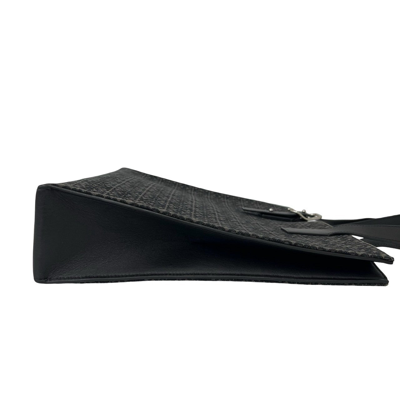 LOEWE ロエベ バックル ホリゾンタル トートバッグ 6