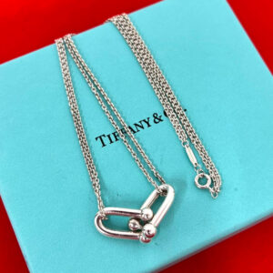 TIFFANY&Co. ティファニー ハードウェア ラージ ダブル リンク ネックレス