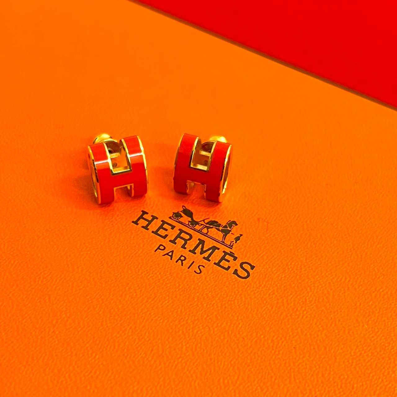 HERMES エルメス ポップアッシュ ピアス