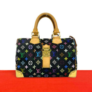 LOUIS VUITTON ルイヴィトン スピーディ 30 ハンドバッグ