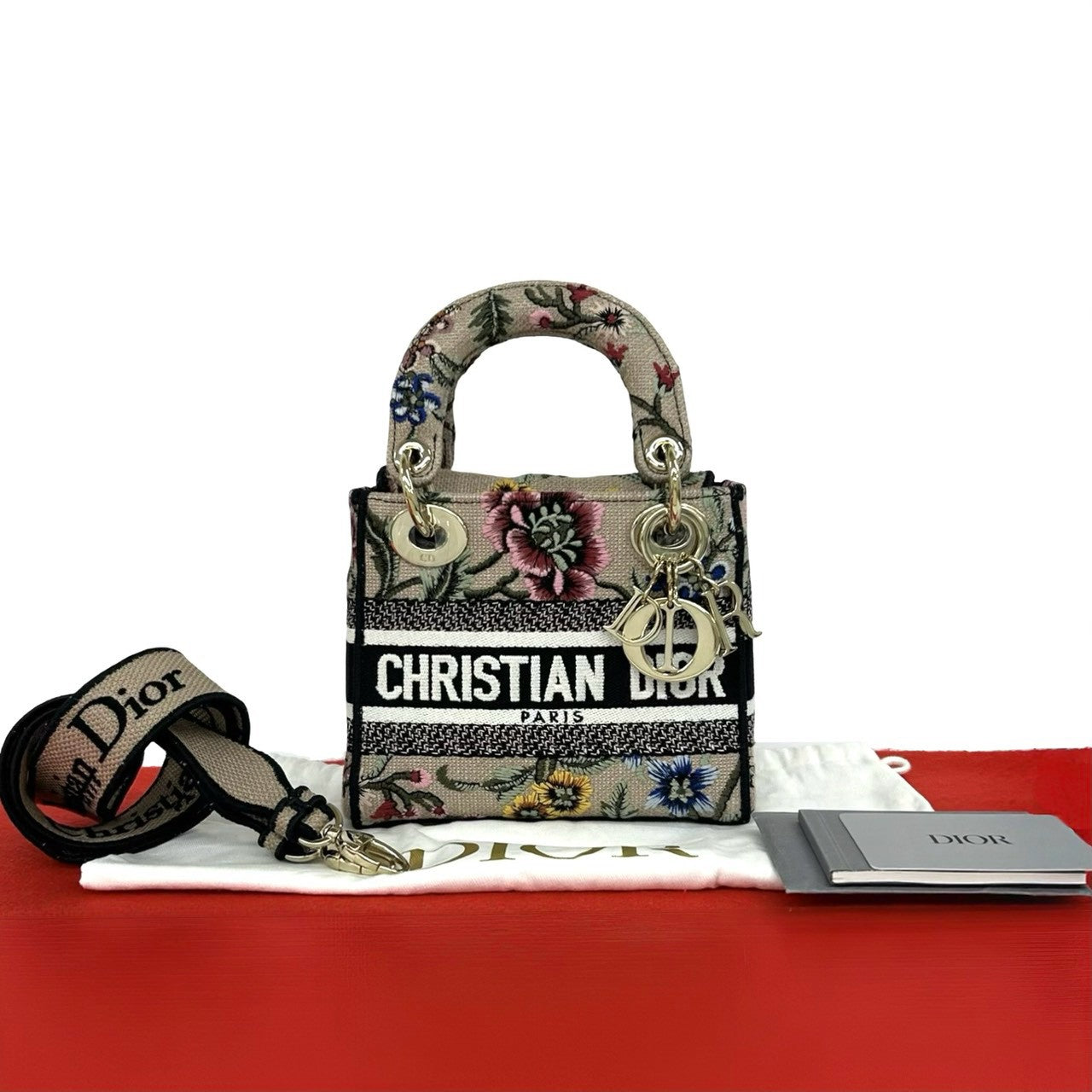 Christian Dior レディ ディーライト ミニ