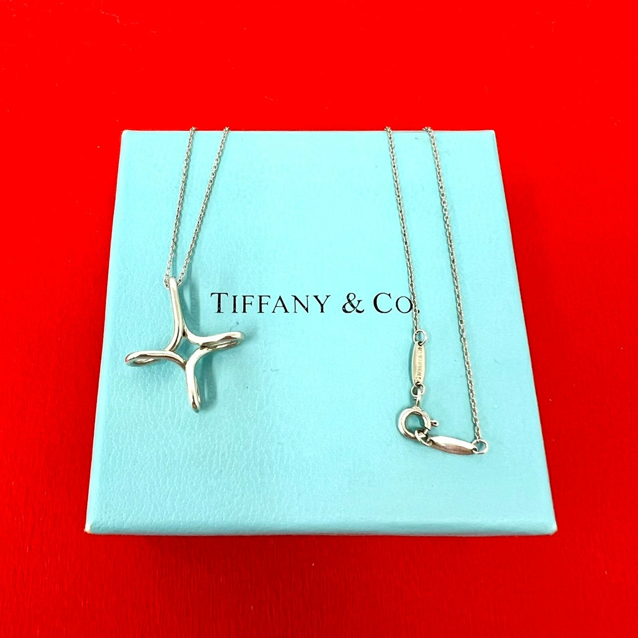 TIFFANY&Co. ティファニー (Vintage) インフィニティ クロス ネックレス